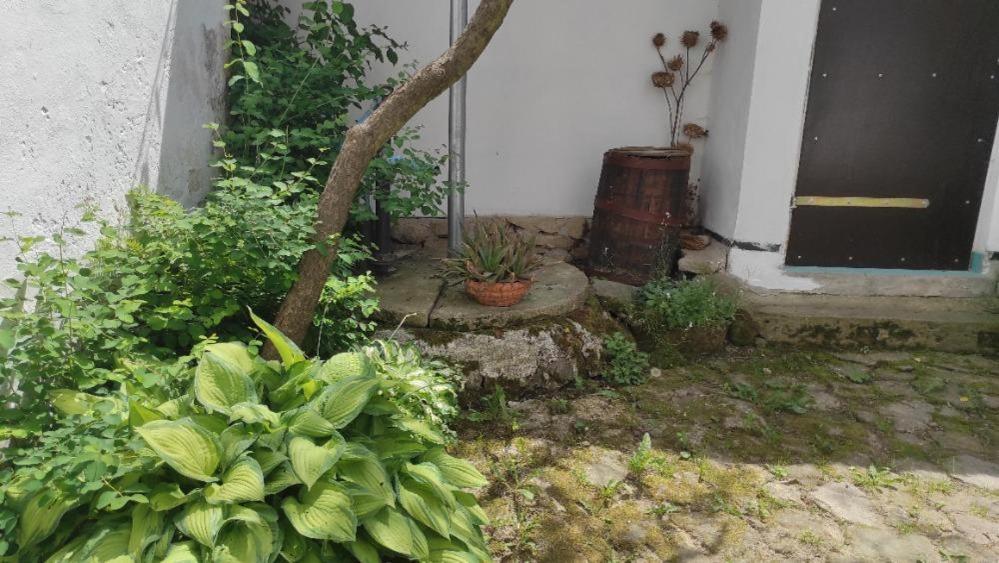 Ubytování Pod Jilmem Zumberk Esterno foto